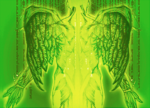 MetaAngel_version_002_Green Filter